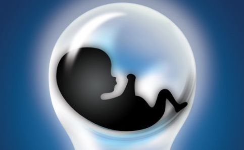 海外试管婴儿,胚胎质量