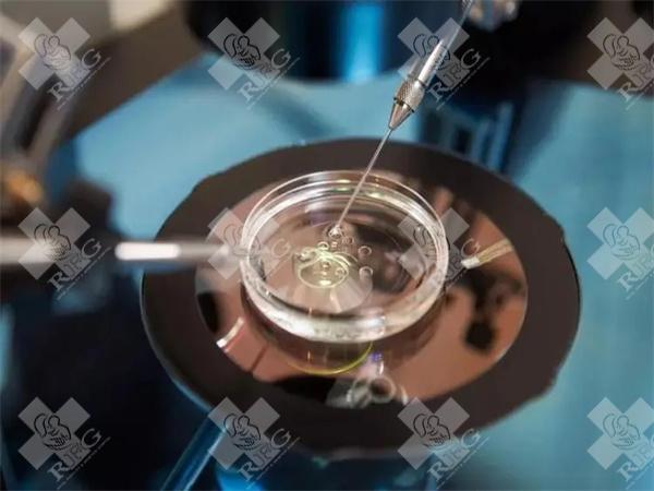 去泰国做试管婴儿需要多少钱？