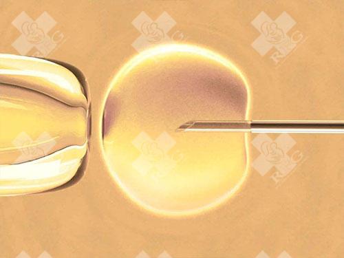 大人染色体都没问题二代试管囊胚染色体正常的概率多大？