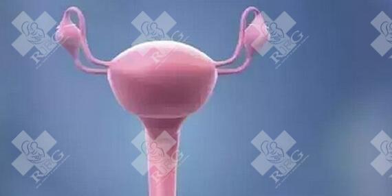 泰国试管婴儿价格怎么样？需要注意什么？
