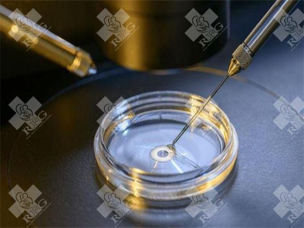 导致卵巢功能减退的原因是什么？