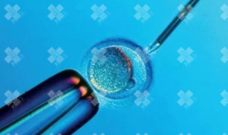 囊胚移植成功后30天就基本安全稳定了吗？