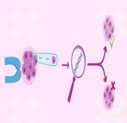 辽宁试管婴儿要花多少钱呢？