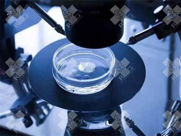 试管婴儿过程促排卵需要注意什么？
