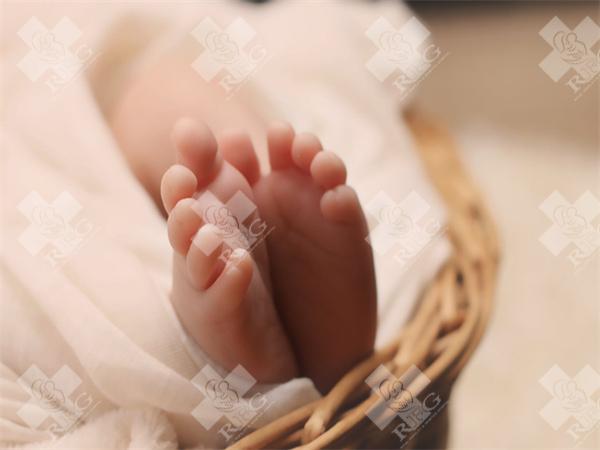 试管婴儿过程中囊胚是如何形成的？
