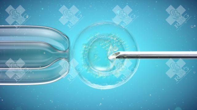 广州做试管生孩子多少钱?试管婴儿具体流程有哪些
