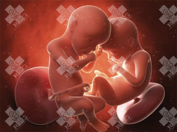 两个女人只有卵子能做试管婴儿生孩子吗?