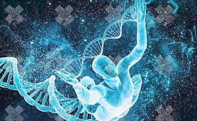 试管移植第三天鲜胚后剩下的还需要继续养囊胚吗？