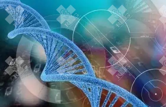 囊胚移植第九天常身体发热容易出汗是着床成功了吗？