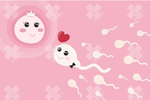 湖南衡阳不找中介怎么做畸形精子症试管婴儿