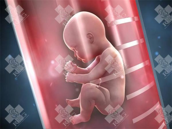 2023格鲁吉亚试管婴儿医院排行推荐