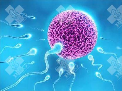 2023上海精子提供人工授精医院名单分享建议的竟是这家...