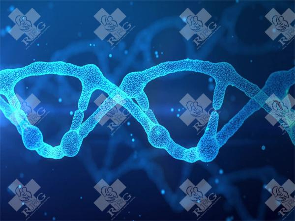 都说红斑狼疮为怀孕路上绊脚石是真的吗?