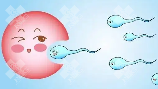 南昌西湖区哪个医院做试管婴儿