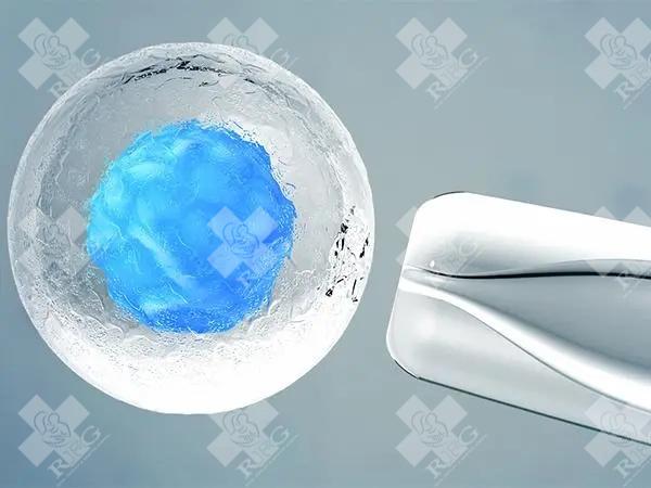 试管婴儿胚胎实验室是如何培养胚胎的？