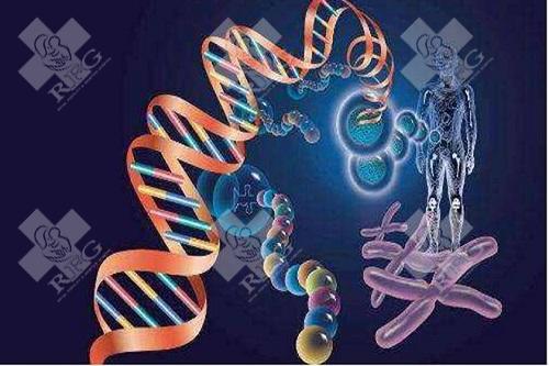 开封鼓楼区哪里可以做试管婴儿