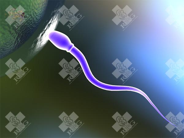排卵针怀孕几率高吗?