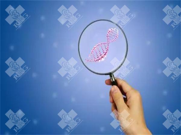 泰国试管婴儿成功率是多少?