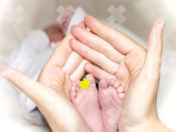 试管婴儿所需的时间
