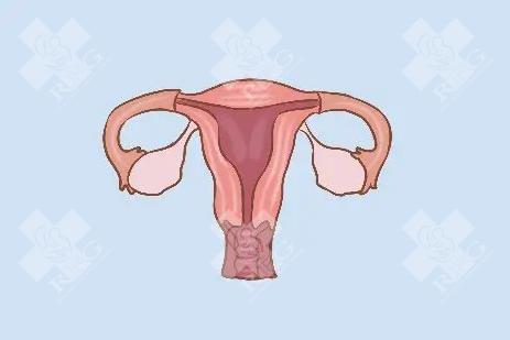 卵巢障碍和卵巢早衰有什么区别,怎么调理?