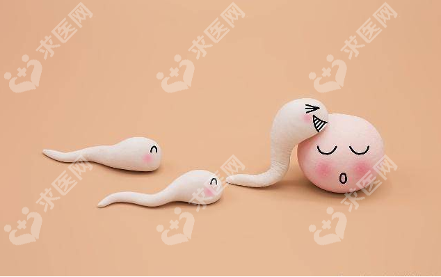 深圳地区有哪些私立的机构可以做试管技术?中医摸怀男孩的脉象特征是怎么样的?