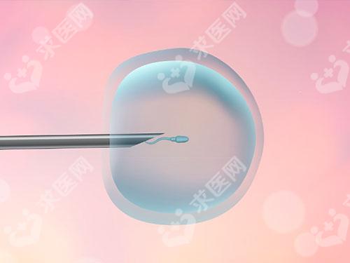 盘点做试管婴儿成功的征兆有哪些？这些反应比早孕试纸更早显现