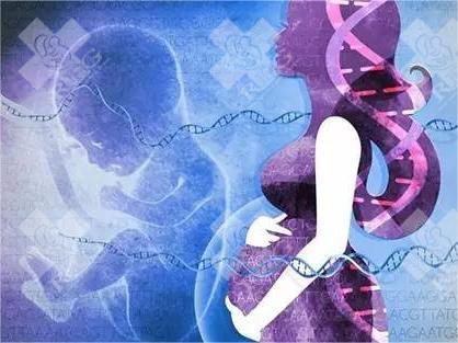 天津地区有哪些私立的机构可以做试管技术?2023试管婴儿孩子费用多少钱?