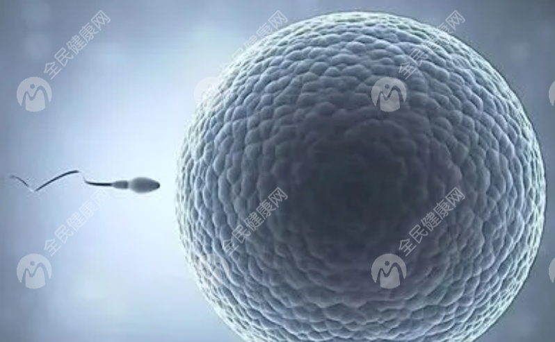 卵巢功能衰退，怎么办才能顺利怀孕？卵巢早衰助孕成功案例都有什么经验分享？