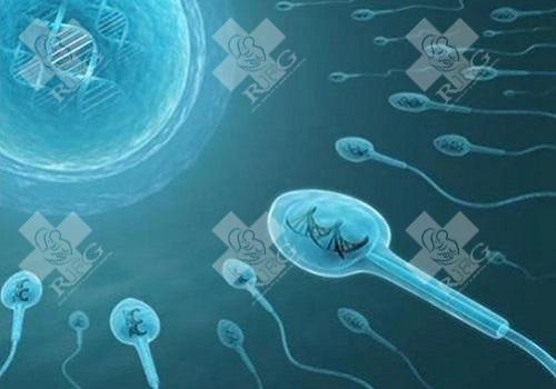 多囊直接直接做试管婴儿可以吗？