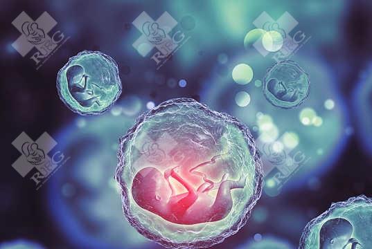 子宫腺肌症打降调后试管能成功吗？