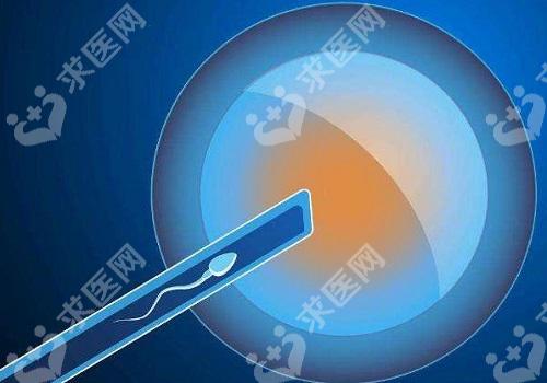 重庆渝北区医院哪里可以做试管婴儿呢？