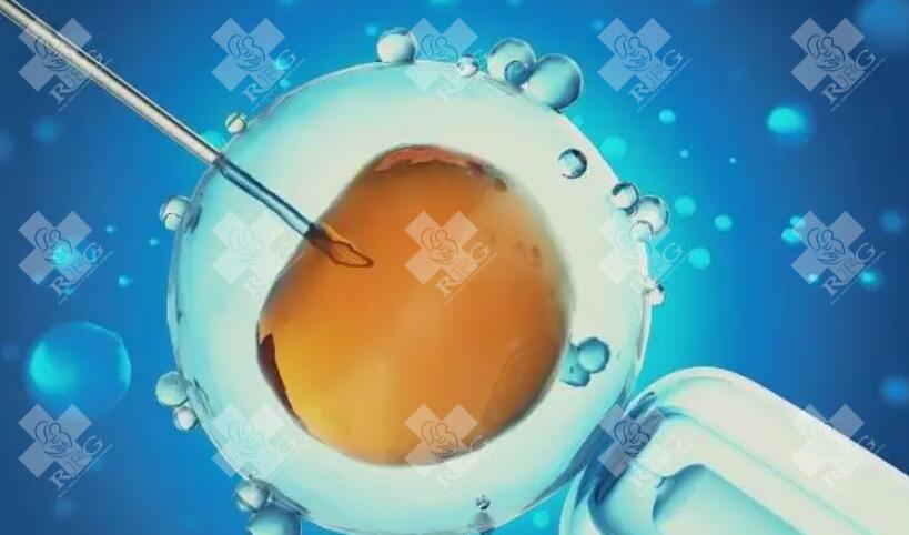 39岁试管三次不着床除了年龄还有什么问题？