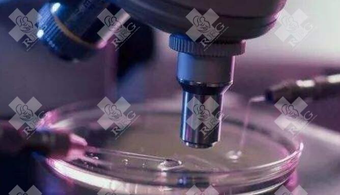 怎么提升人工授精成功率？怎么做才行
