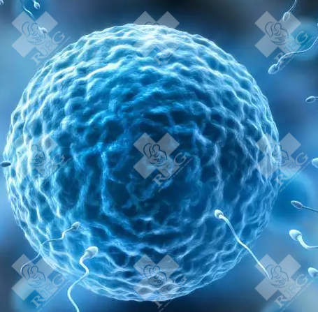 曲靖陆良县试管婴儿哪里可以做？