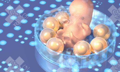 40岁促排后只有2个基础卵泡试管婴儿成功率多少