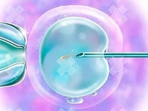 试管鲜胚移植后长期卧床有什么作用？对HCG值翻倍有影响吗？