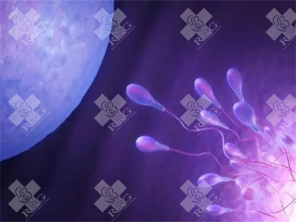不孕不育检查项目收费多少钱？不孕不育检查费用医保可以报销吗？