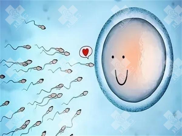 试管婴儿成功率是指初次成功率吗？试管婴儿成功率取决于什么因素？