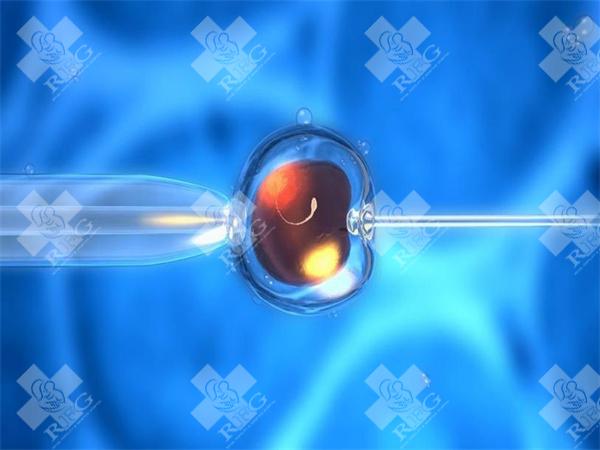 提高冻胚移植成功率的方法是什么？
