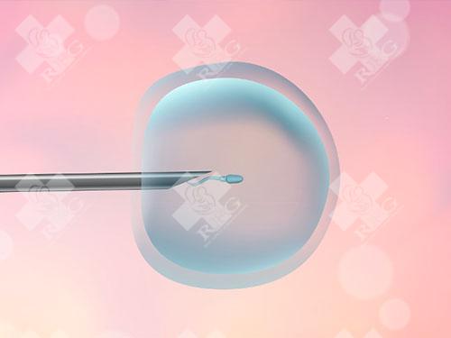 试管婴儿移植两个囊胚的条件是什么？