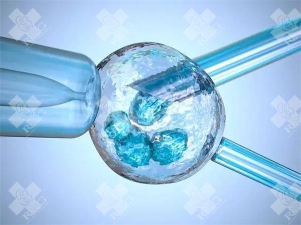 菏泽公立医院三代试管婴儿价格多少钱？为什么会有这么高的费用？