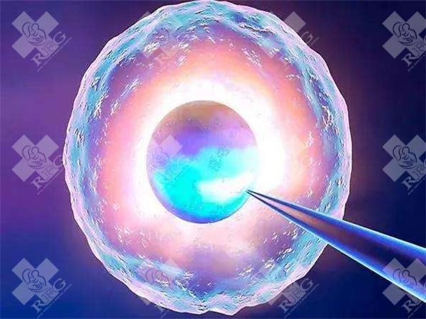 做试管婴儿第10天突然受到惊吓不会影响着床？