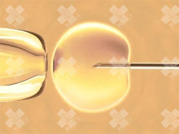 2024成都三代试管所有费用明细一览，准备这个数就够了！