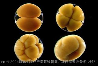 2024河北生殖妇产医院试管婴儿项目需要准备多少钱?