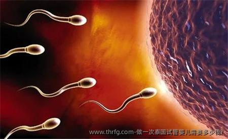 做一次泰国试管婴儿需要多少钱?