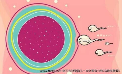 做三代试管婴儿一次大概多少钱?含哪些费用?