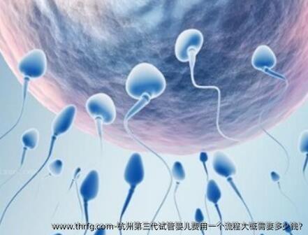 杭州第三代试管婴儿费用一个流程大概需要多少钱?