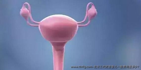 北京三代试管婴儿一般费用是多少?