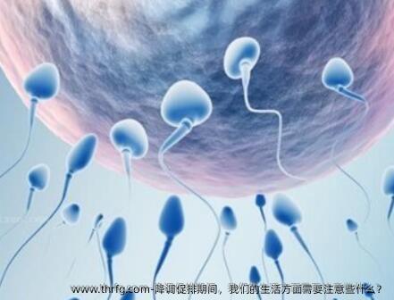 降调促排期间，我们的生活方面需要注意些什么？