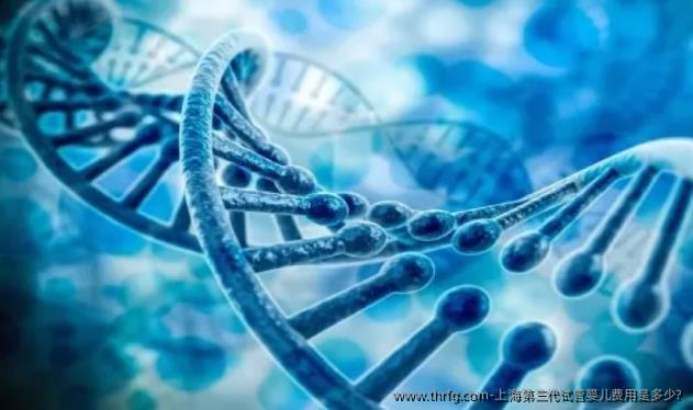 上海第三代试管婴儿费用是多少?
